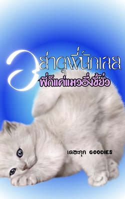 อย่าดุพี่นักเลย-พี่ก็แค่แมวอึ่งขี้ยั่ว