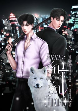 ไม่คิดจะรัก-สุดท้ายก็รักโหด-มีe-book