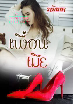 เพื่อนเมีย