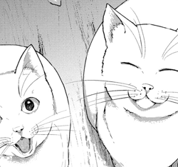 นักผจญภัยผู้โดนไล่ออกสองรอบ-ใช้สกิลสุดแรร์ฝึกกองทัพสาวสวย-nido-tsuihou