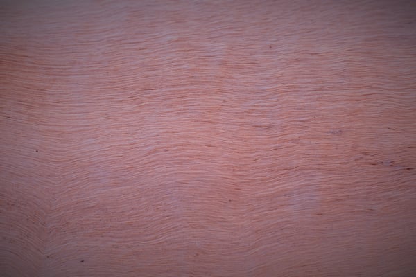 ทะลุภพทะลุชาติมาหาเธอ