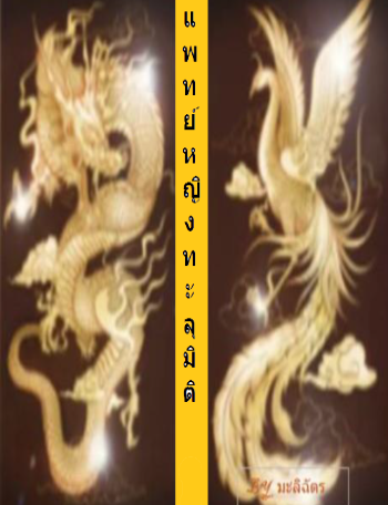 แพทย์หญิงทะลุมิติ